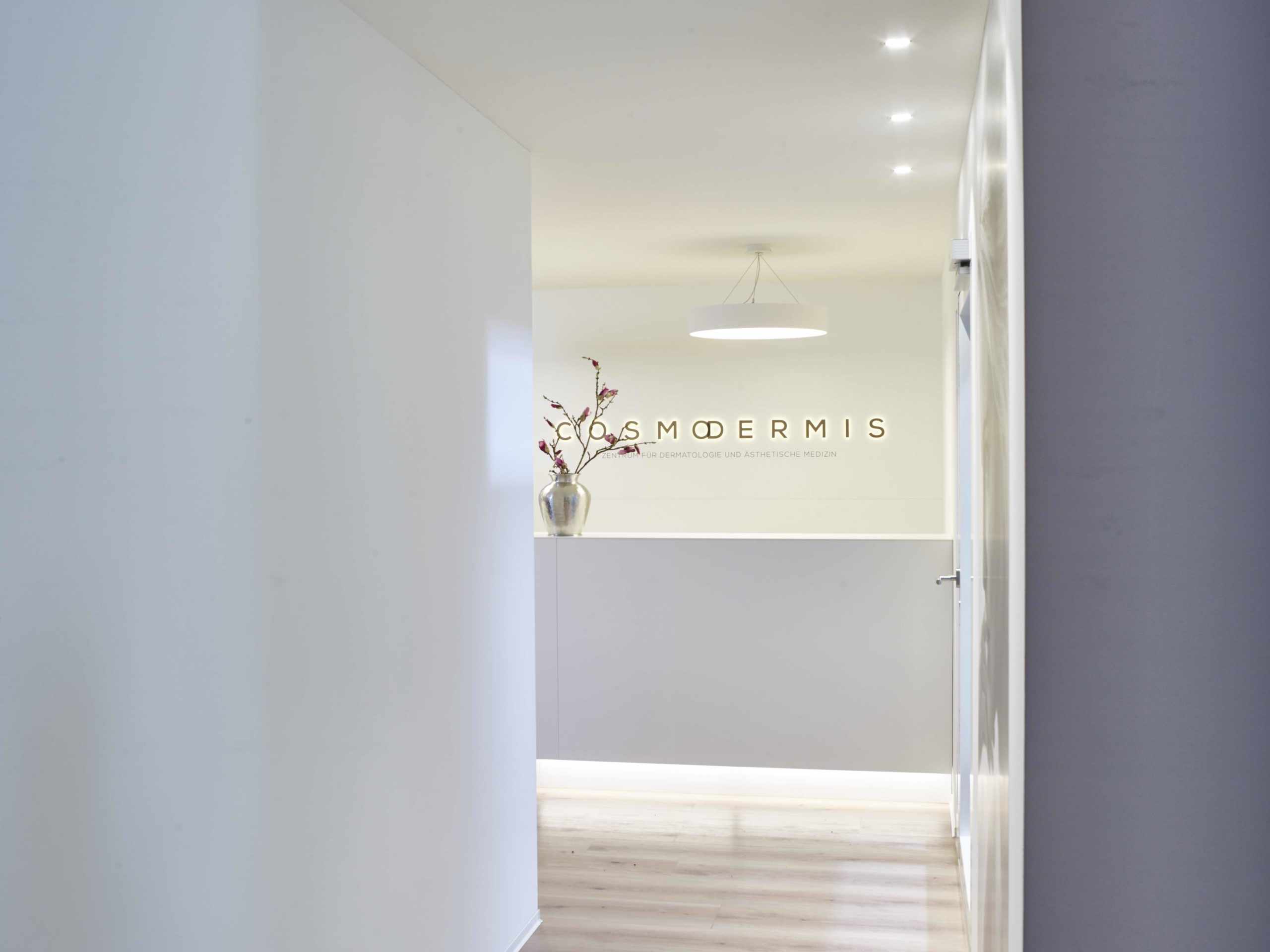 cosmodermis147498 Kopie